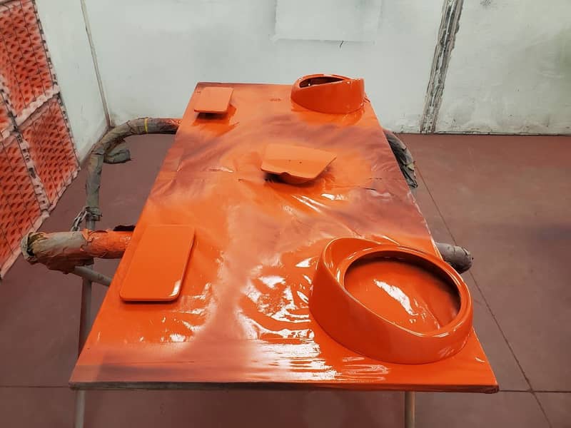 1956 Ford Thunderbird photo