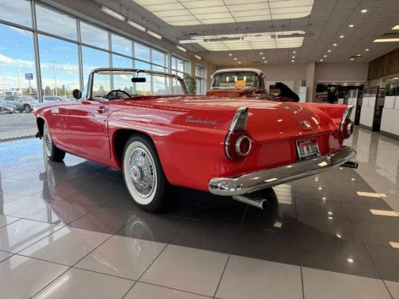 1956 Ford Thunderbird photo