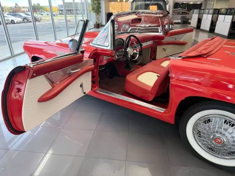 1956 Ford Thunderbird photo