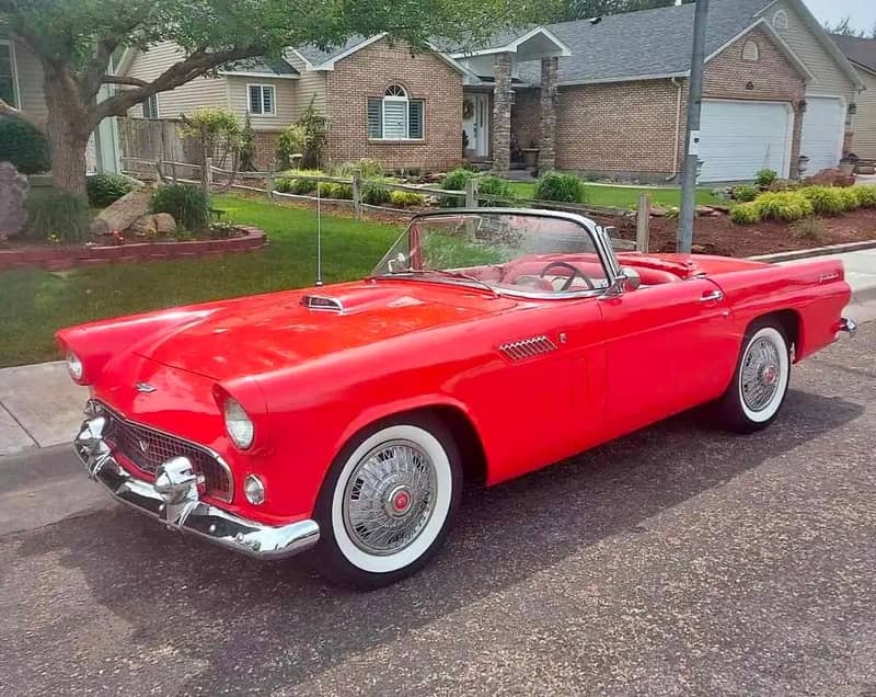1956 Ford Thunderbird photo