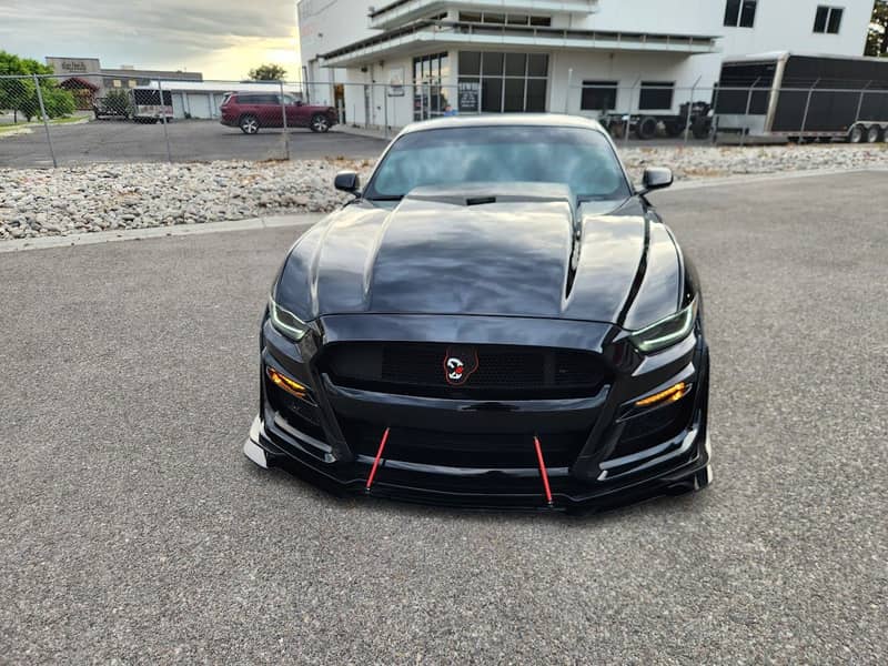 2017 Ford Mustang photo